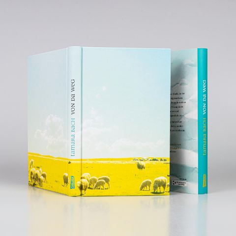 InsideView 3