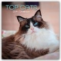 Top Cats - Top-Katzen 2025 - 16-Monatskalender - Gifted Stationery Co. Ltd