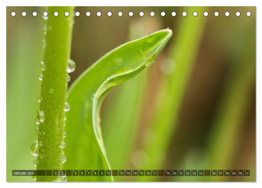 InsideView 6