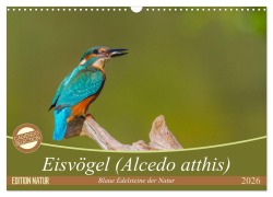 Cover-Bild zum Titel 'Eisvögel (Alcedo atthis) - Edelsteine der Natur (Wandkalender 2026 DIN A3 quer), CALVENDO Monatskalender' von 'Ursula Di Chito'