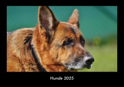 Cover-Bild zum Titel 'Hunde 2025 Fotokalender DIN A3' von 'Tobias Becker'
