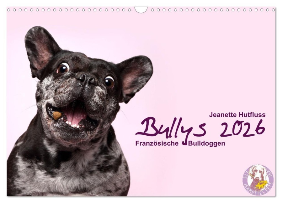 Bullys - Französische Bulldoggen 2026 (Wandkalender 2026 DIN A3 quer), CALVENDO Monatskalender - Jeanette Hutfluss
