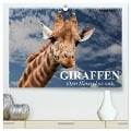 Giraffen. Dem Himmel so nah (hochwertiger Premium Wandkalender 2025 DIN A2 quer), Kunstdruck in Hochglanz - Elisabeth Stanzer