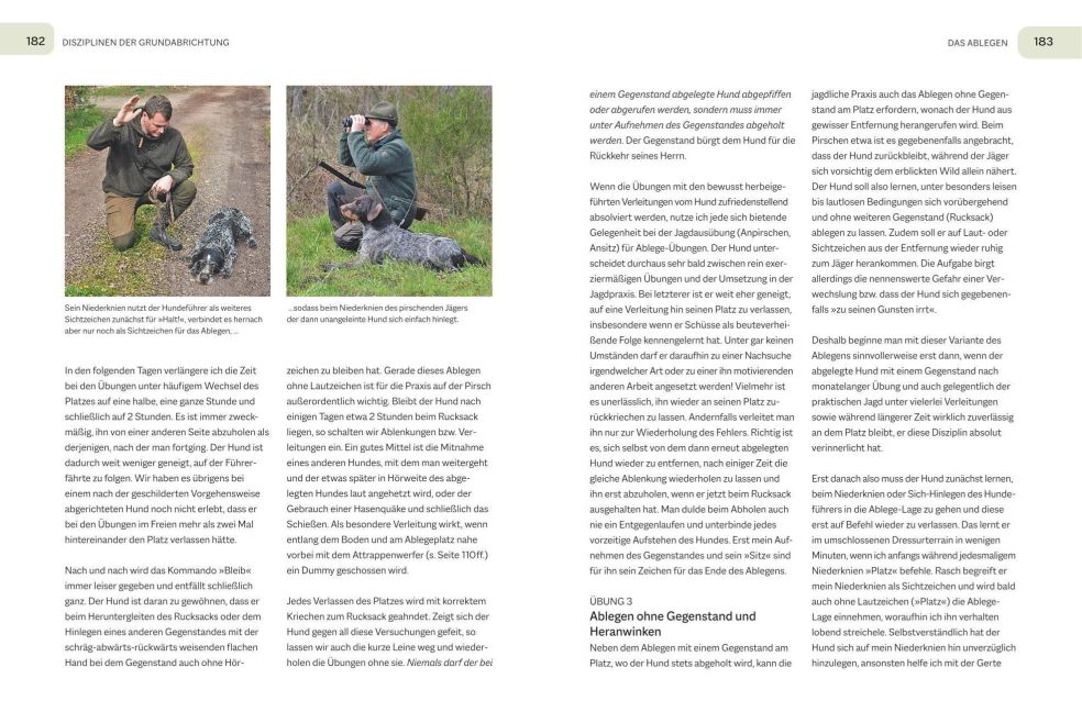 InsideView 7