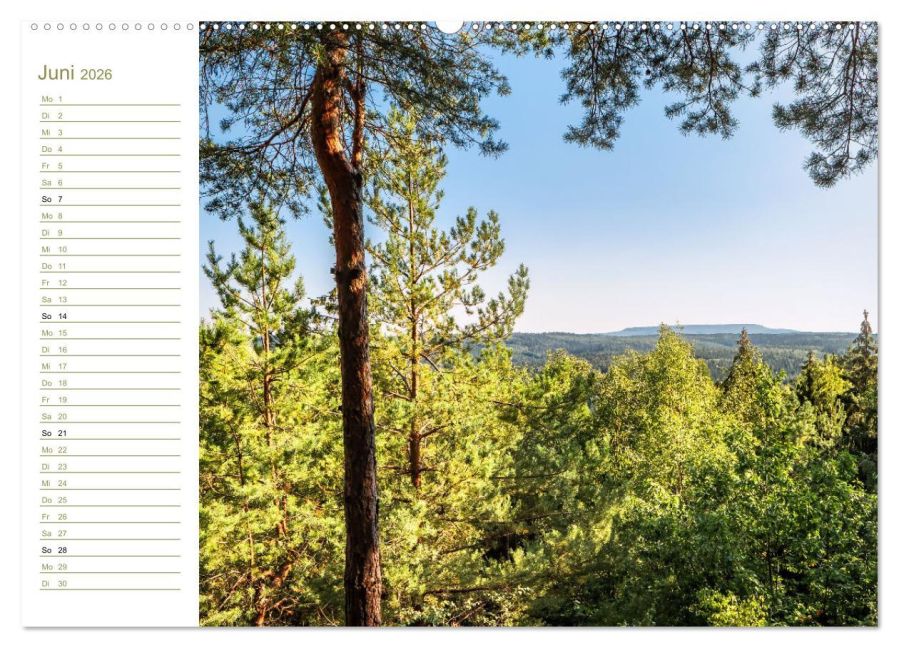 InsideView 11