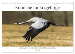 Cover-Bild zum Titel 'Kraniche im Erzgebirge (Wandkalender 2026 DIN A4 quer), CALVENDO Monatskalender' von 'Holger Drechsel - Naturfotografie Drechsel'