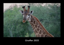 Cover-Bild zum Titel 'Giraffen 2025 Fotokalender DIN A3' von 'Tobias Becker'