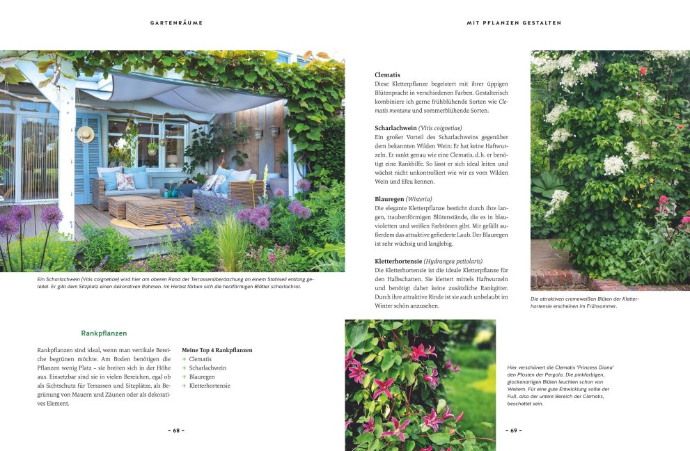 InsideView 6
