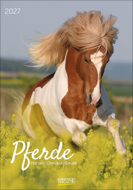 Pferde 2027 - 