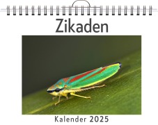 Cover-Bild zum Titel 'Zikaden' von 'Lena Keller'