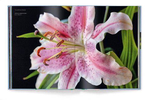 InsideView 3