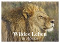 Wildes Leben in Afrika (Wandkalender 2025 DIN A2 quer), CALVENDO Monatskalender - Elisabeth Stanzer