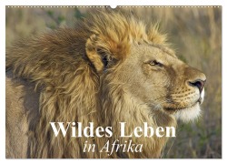 Wildes Leben in Afrika (Wandkalender 2025 DIN A2 quer), CALVENDO Monatskalender - Elisabeth Stanzer