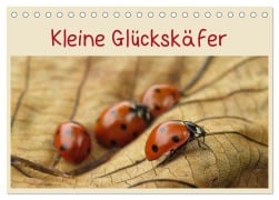 Kleine Glückskäfer (Tischkalender 2026 DIN A5 quer), CALVENDO Monatskalender - Judith Doberstein