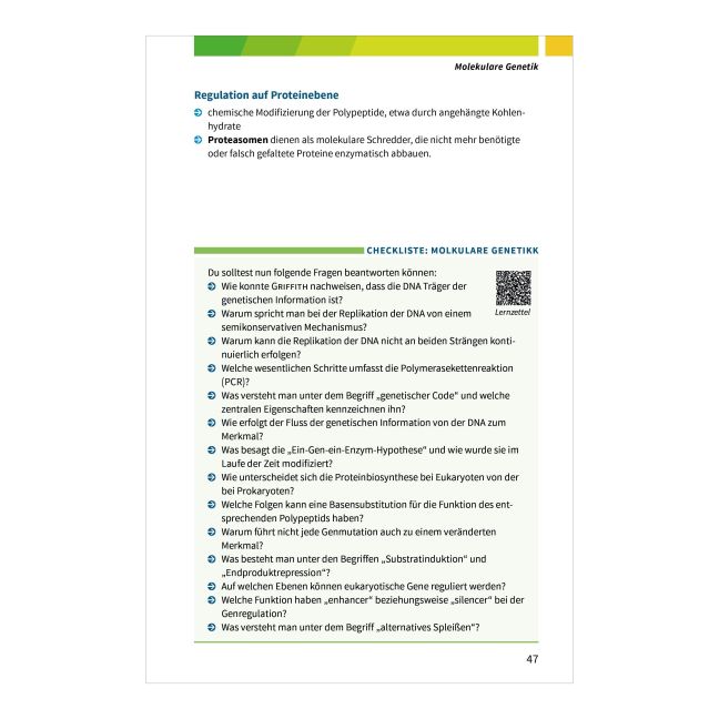 InsideView 13