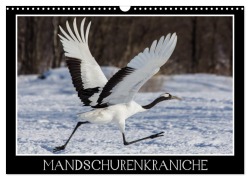 Cover-Bild zum Titel 'Mandschurenkraniche (Wandkalender 2026 DIN A3 quer), CALVENDO Monatskalender' von 'Thomas Schwarz Fotografie'