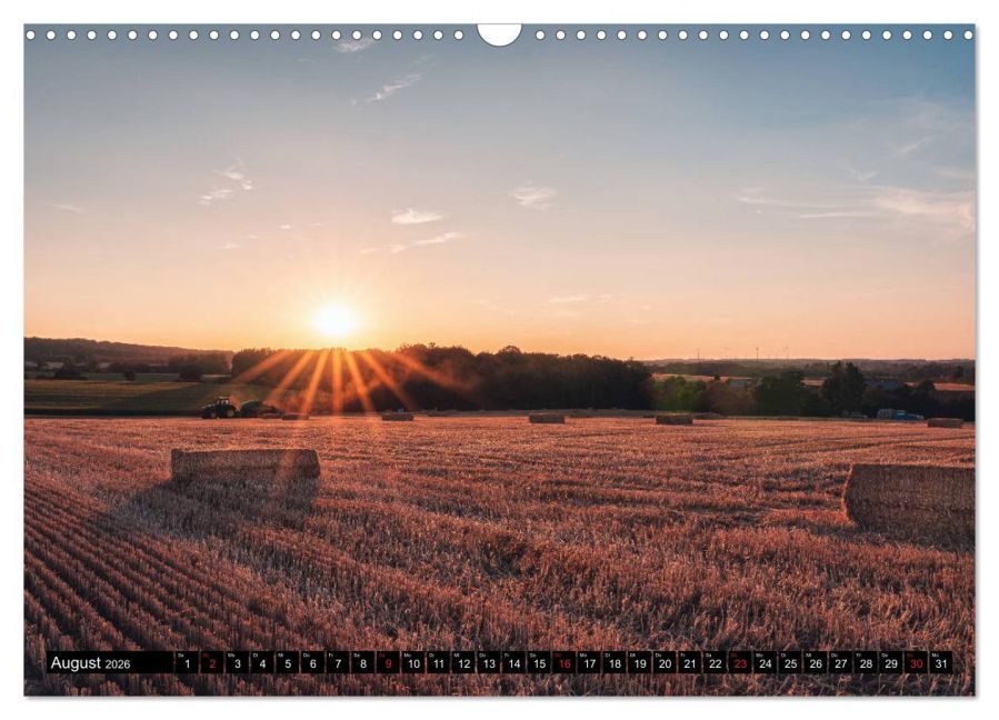 InsideView 13