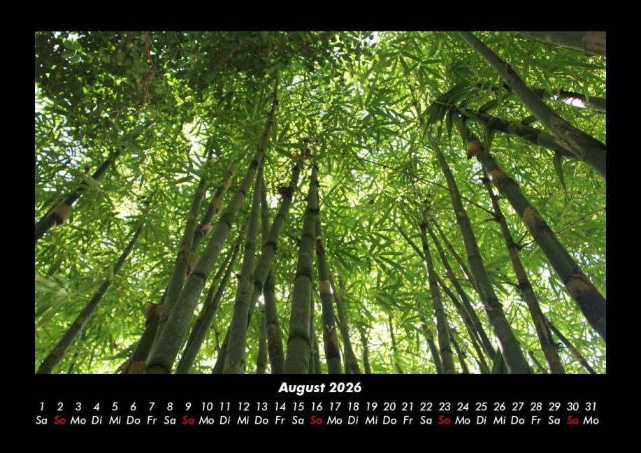 InsideView 12