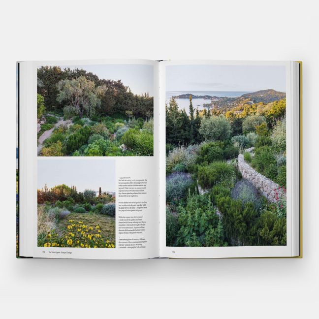 InsideView 6
