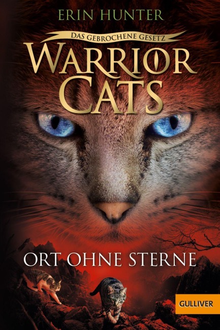 Warrior Cats - Das gebrochene Gesetz. Ort ohne Sterne - Erin Hunter