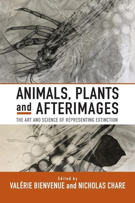 Animals, Plants and Afterimages - 