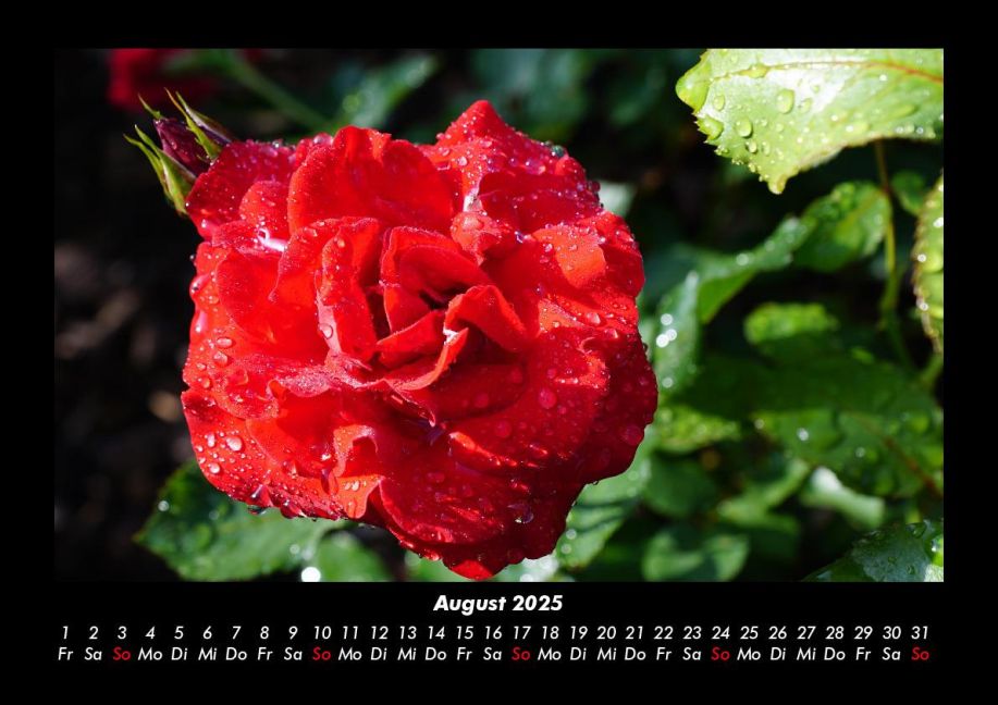 InsideView 12
