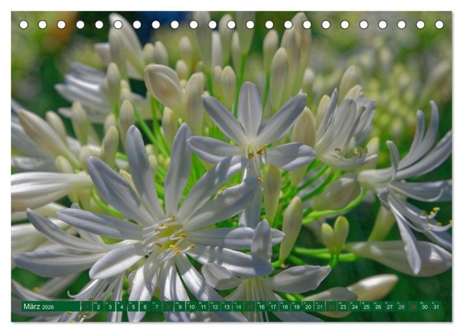 InsideView 8