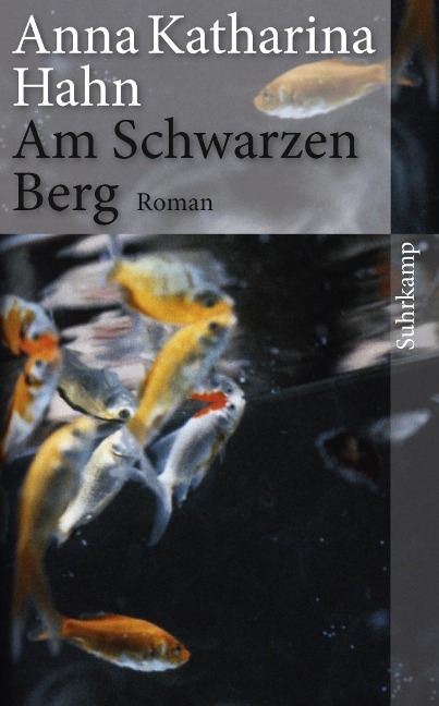 Am Schwarzen Berg - Anna Katharina Hahn