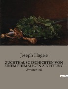 Cover-Bild zum Titel 'ZUCHTHAUSGESCHICHTEN VON EINEM EHEMALIGEN ZÜCHTLING' von 'Joseph Hägele'