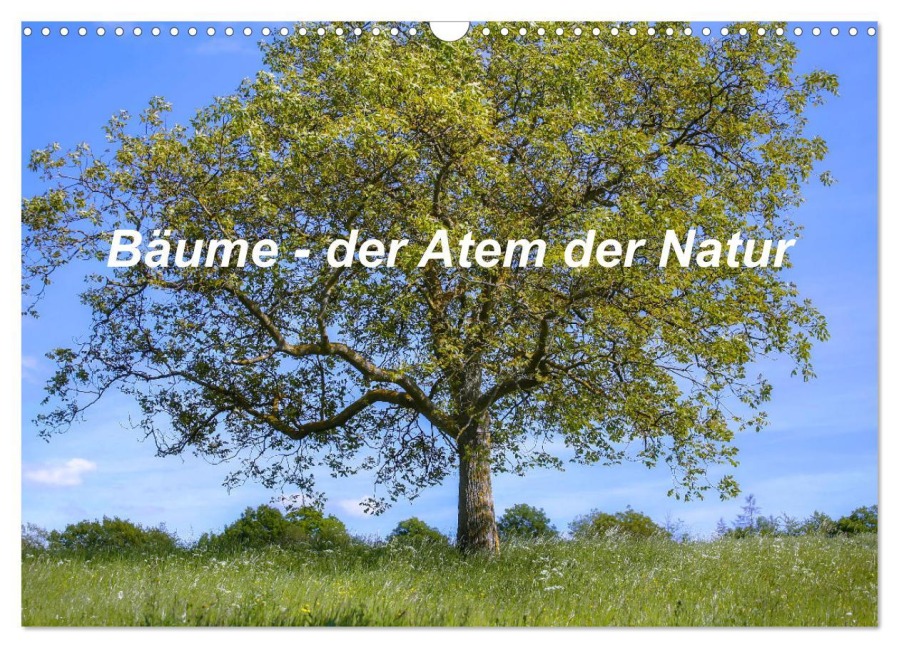 Bäume, der Atem der Natur (Wandkalender 2026 DIN A3 quer), CALVENDO Monatskalender - Christine Wirges