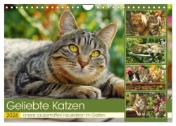 Geliebte Katzen. Unsere zauberhaften Hauskatzen im Garten (Wandkalender 2026 DIN A4 quer), CALVENDO Monatskalender - Rose Hurley