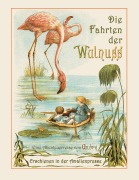 Cover-Bild zum Titel 'Die Fahrten der Walnuss' von 'R. André, Wolfgang von Polentz'