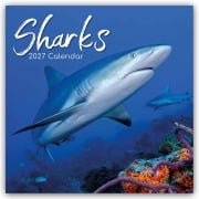 Cover-Bild zum Titel 'Sharks - Haie 2027 - 16-Monatskalender' von 'Gifted Stationery Co. Ltd'