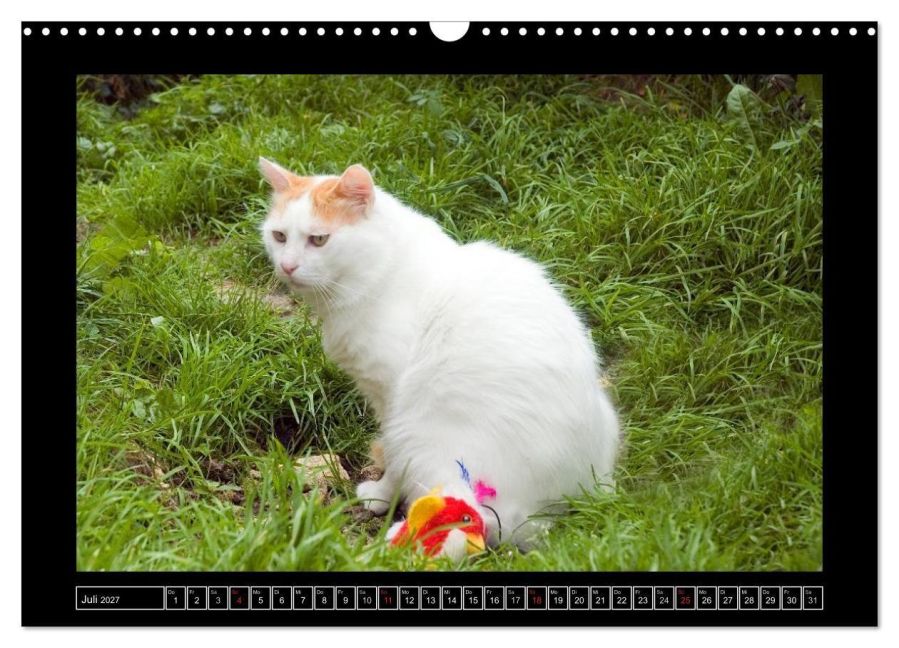InsideView 12