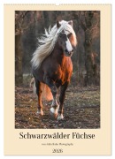 Cover-Bild zum Titel 'Schwarzwälder Füchse von Julia Hahn Photography (Wandkalender 2026 DIN A2 hoch), CALVENDO Monatskalender' von 'Julia Hahn'