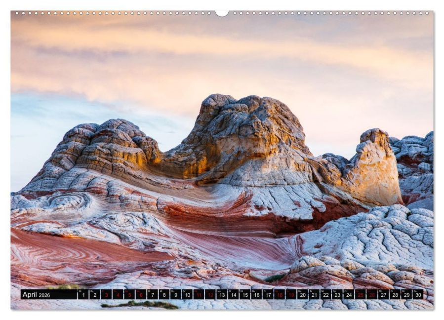 InsideView 8