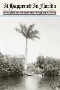 Cover-Bild zum Titel 'It Happened in Florida' von 'E. Lynne Wright'