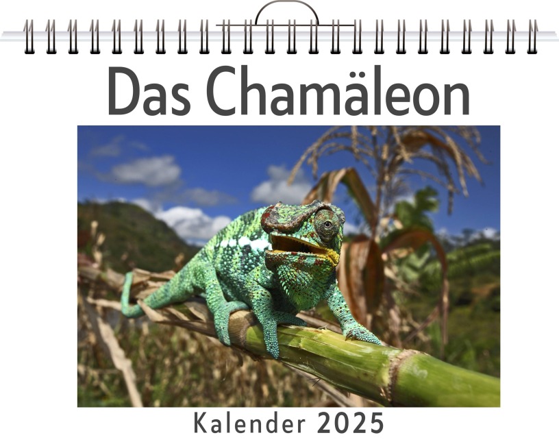 Das Chamäleon - Emma Schubert