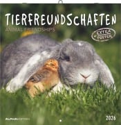 Cover-Bild zum Titel 'Tierfreundschaften 2026 - Broschürenkalender 30x30 cm (30x60 geöffnet) - Kalender mit Platz für Notizen - Animal Friendships - Bildkalender - Planer' von ''