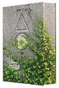 Cover-Bild zum Titel 'AGE OF IVY' von 'Ann Stiles'