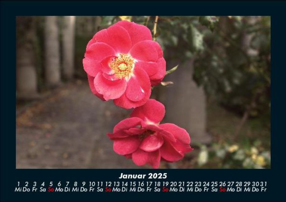 InsideView 5