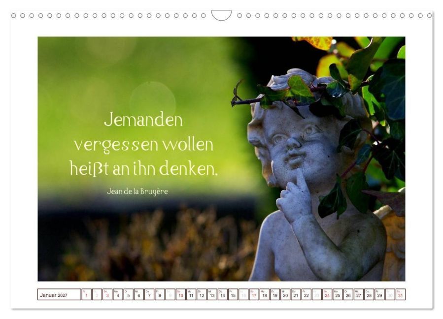 InsideView 6