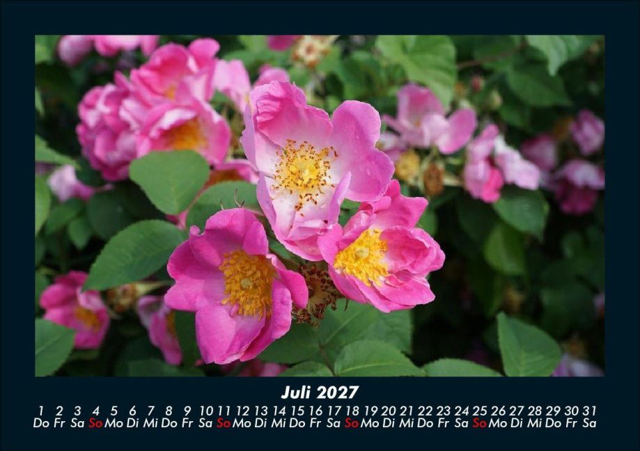 InsideView 11