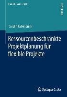 Ressourcenbeschränkte Projektplanung für flexible Projekte - Carolin Kellenbrink