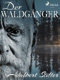 Cover-Bild zum Titel 'Der Waldgänger' von 'Adalbert Stifter'