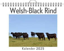 Cover-Bild zum Titel 'Welsh-Black Rind' von 'Theo Braun'