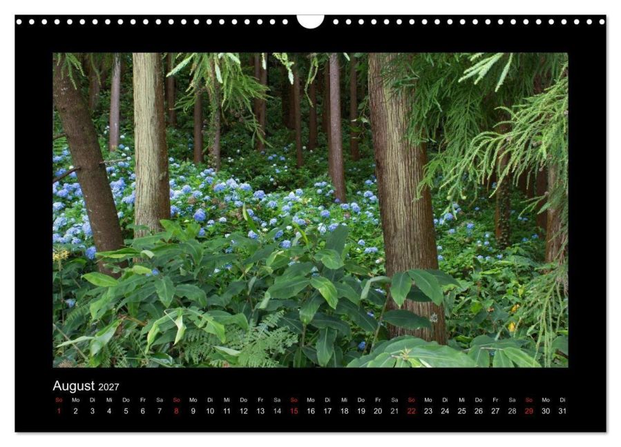 InsideView 13