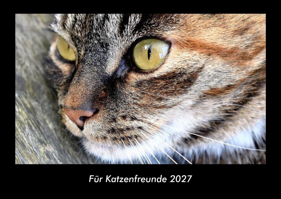 Für Katzenfreunde 2027 Fotokalender DIN A3 - Tobias Becker