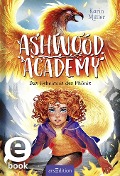 Ashwood Academy - Das Geheimnis des Phönix (Ashwood Academy 2) - Karin Müller