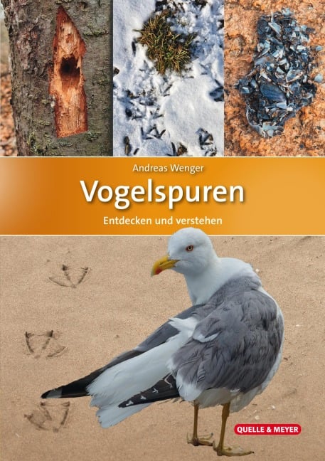 Vogelspuren - Andreas Wenger